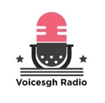 Voicesgh Radio